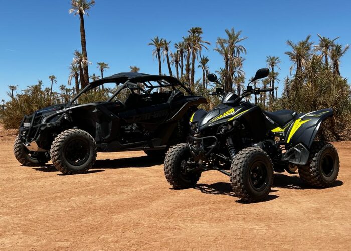 Buggy Palmeraie Marrakech
