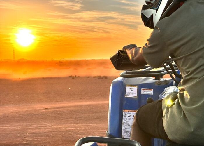 Quad palmeraie à Marrakech