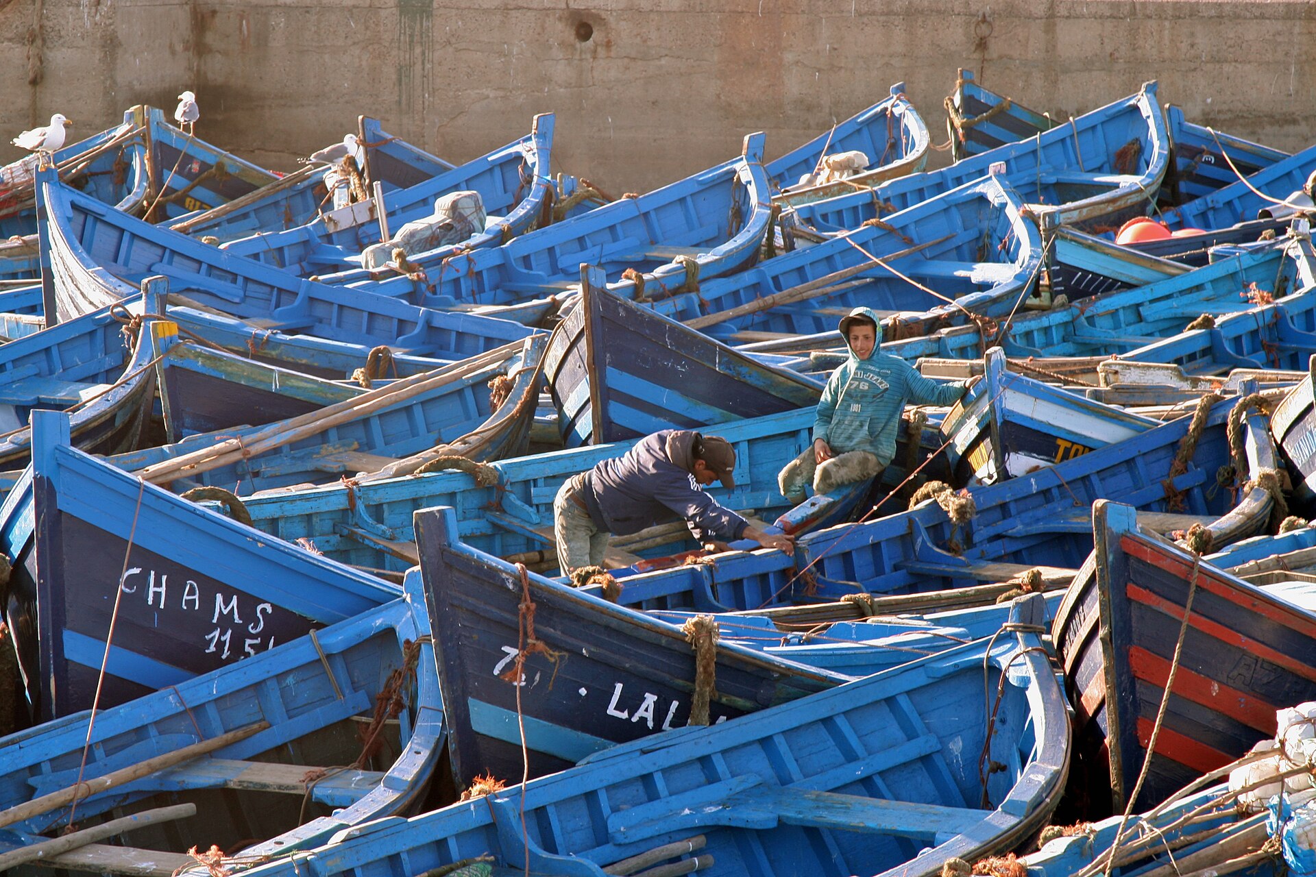 Barques bleues du port d’Essaouira