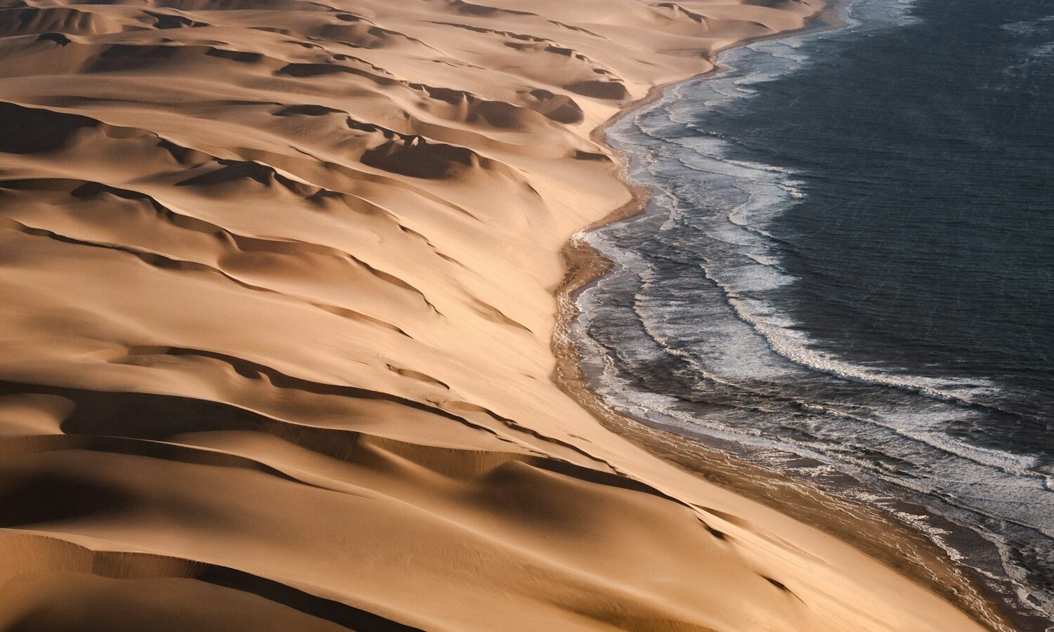 Dune de sable face à l’océan Dune de sable face à l'océan