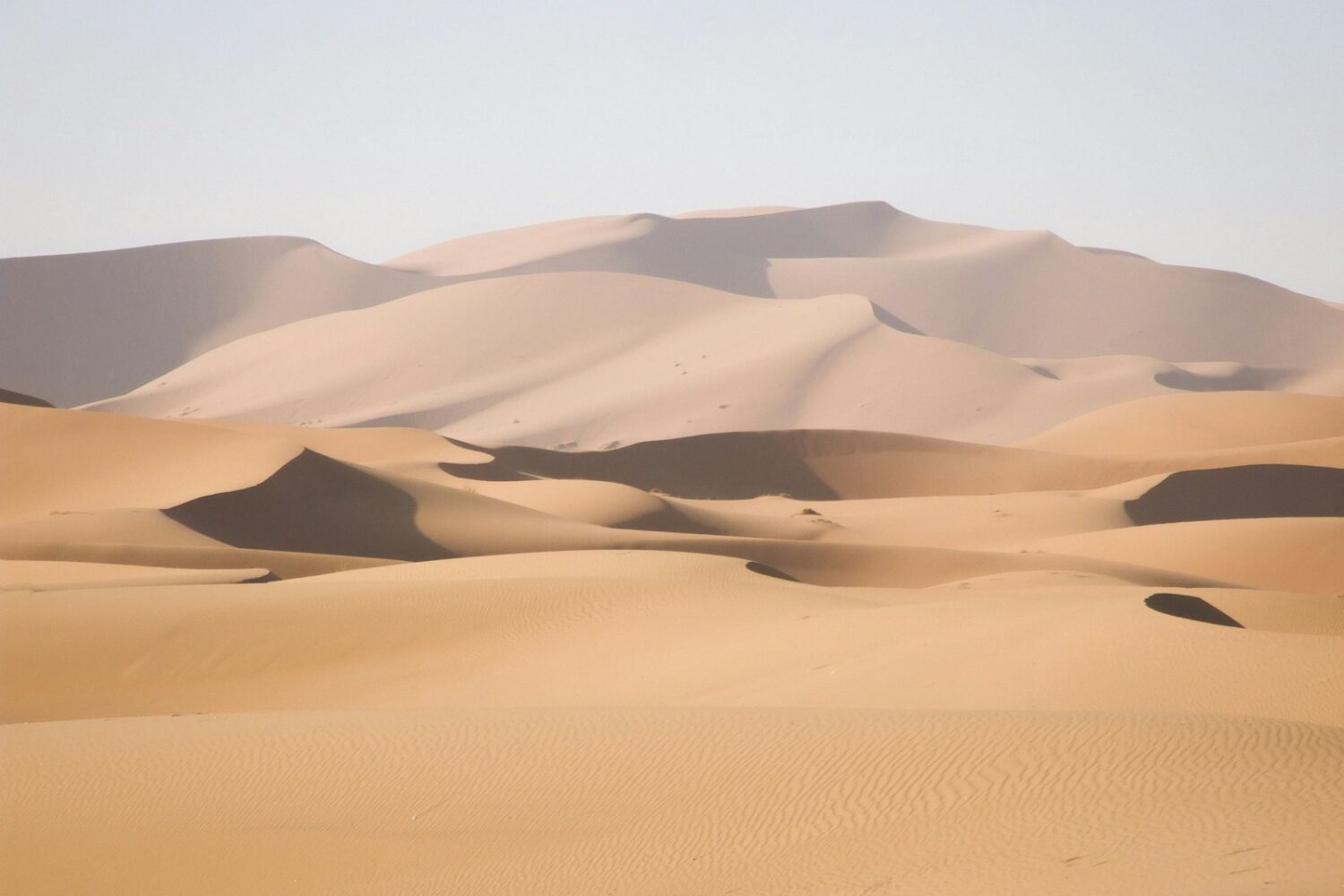 Dunes du Sahara marocain Dunes du Sahara marocain