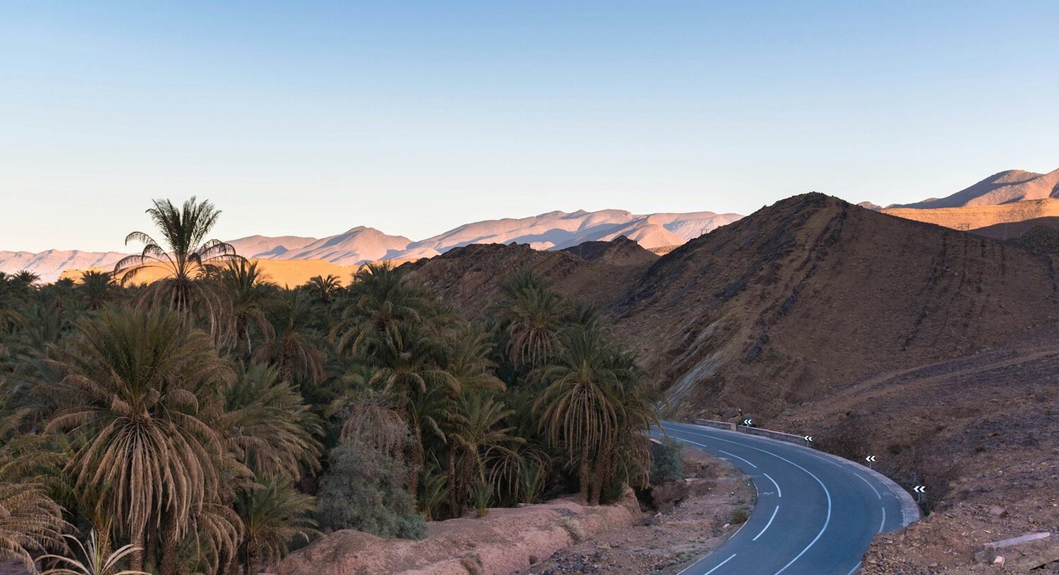 Route sinueuse entre les palmiers de la vallée du Drâa Route sinueuse entre les palmiers de la vallée du Drâa