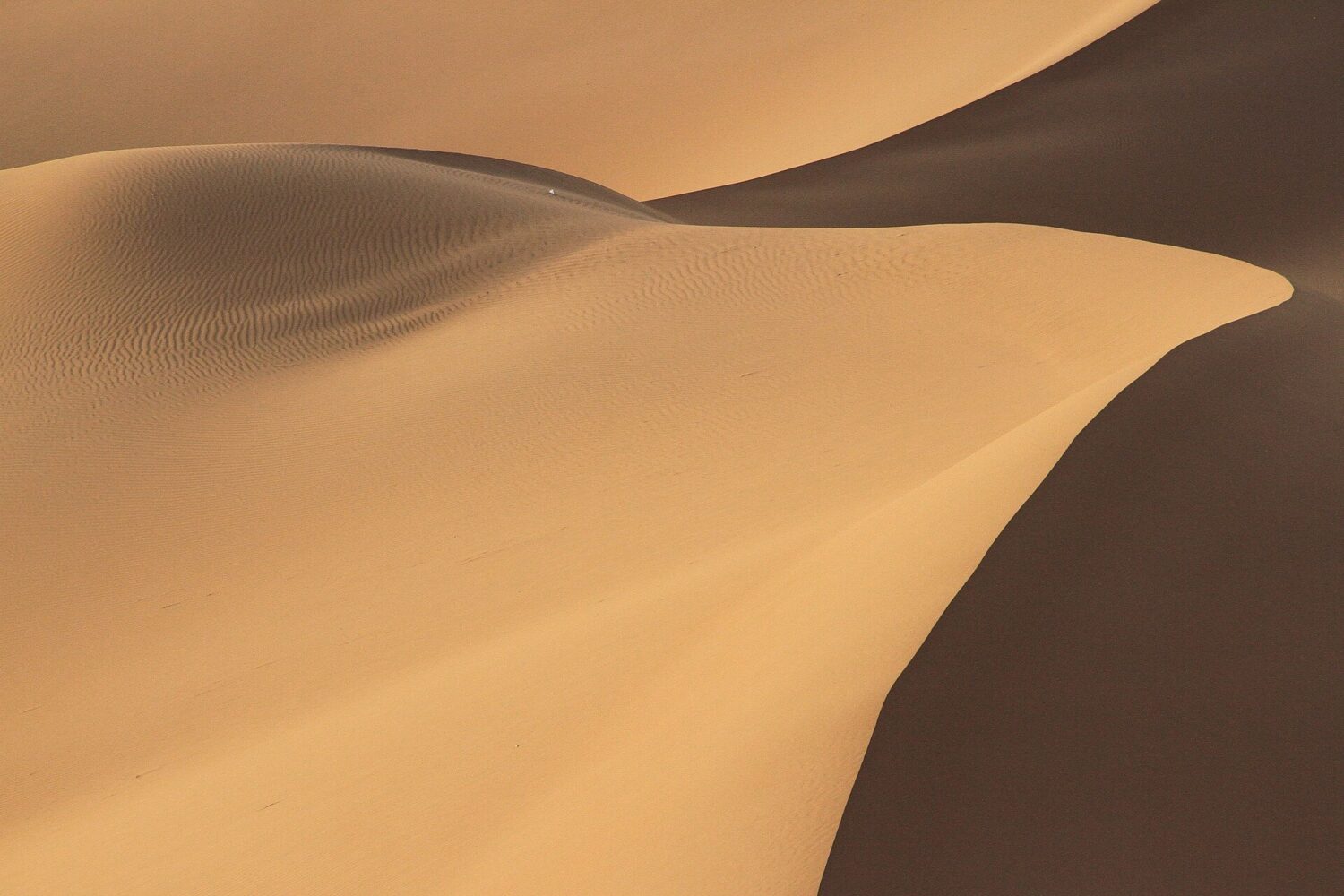 Crête de dune dans l'Erg Chigaga