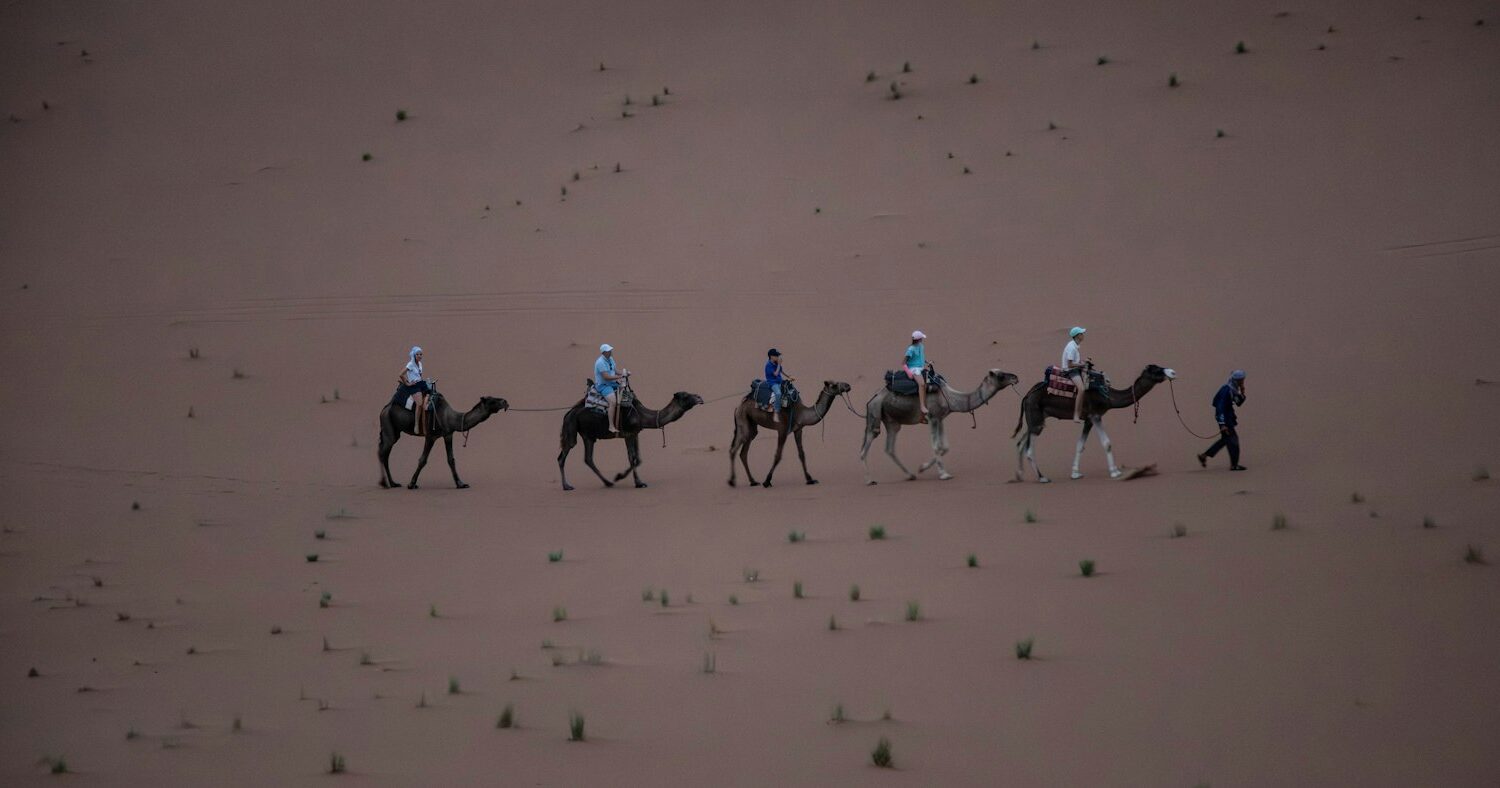 Caravane de dromadaires dans les dunes Caravane de dromadaires dans les dunes