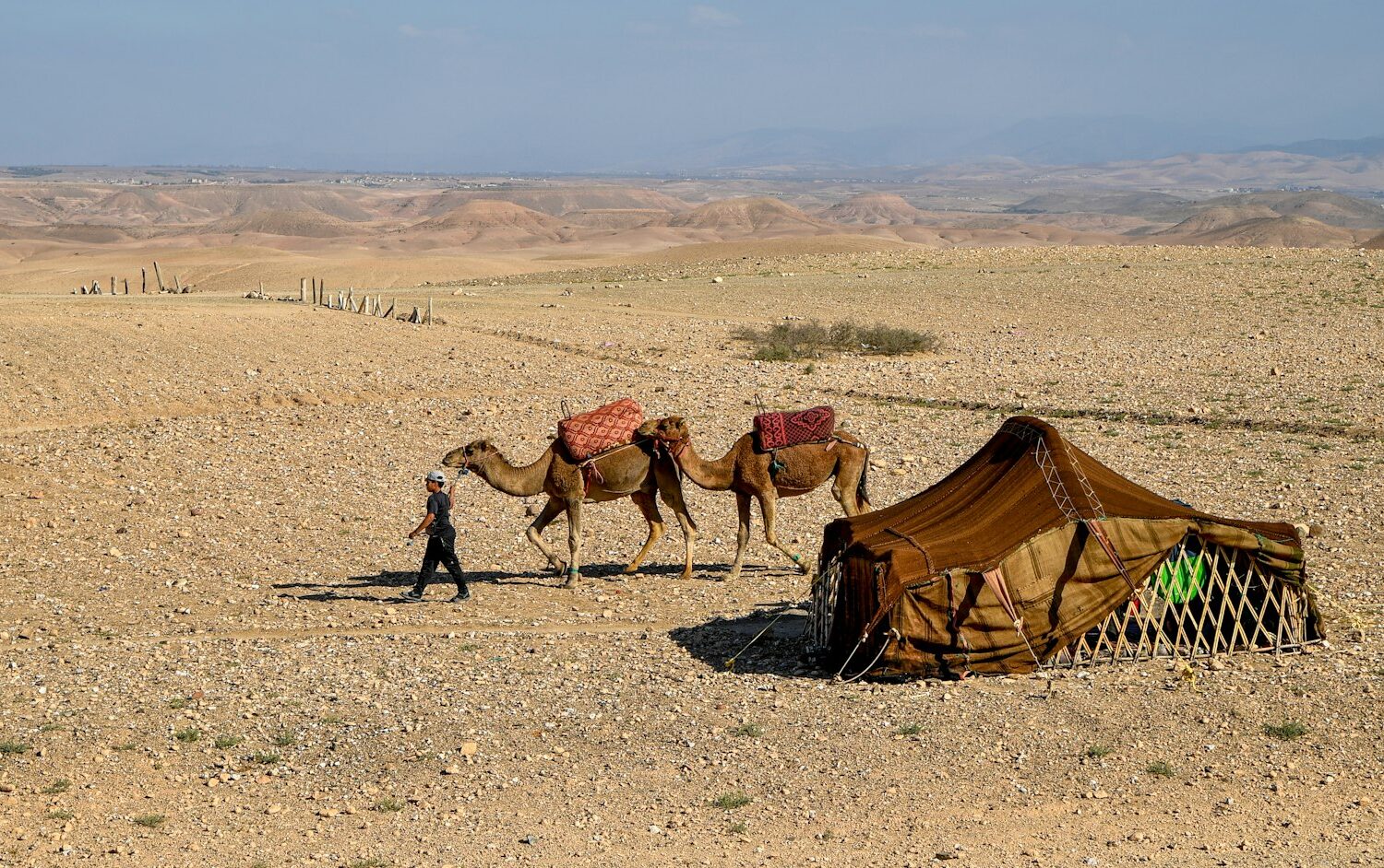 Tente nomade dans le désert Tente nomade dans le désert