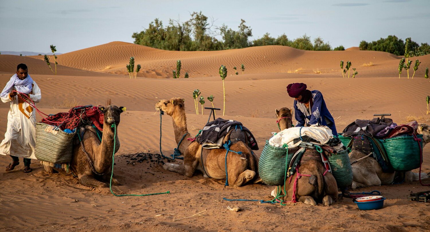 Nomades et dromadaires dans les dunes Nomades et dromadaires dans les dunes
