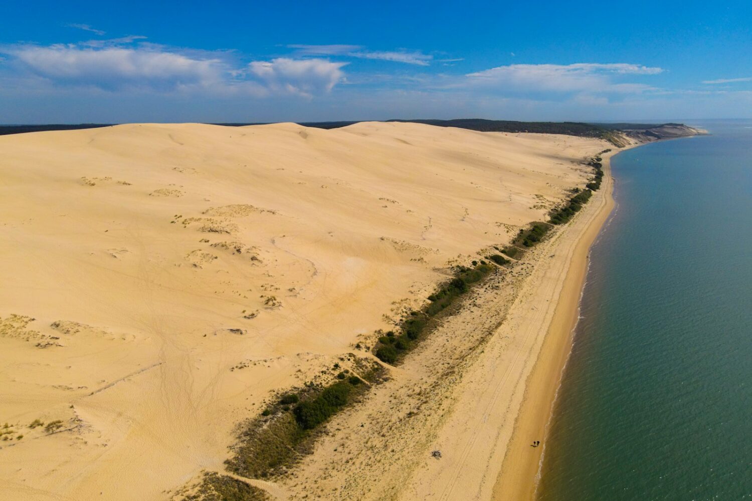 Dune de sable au bord de l'océan Atlantique