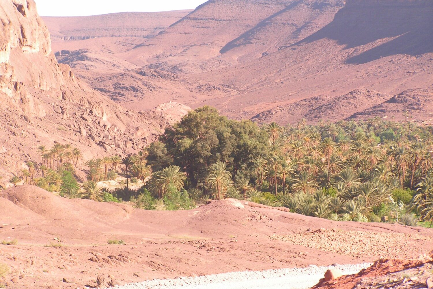 Oasis de Fint près de Ouarzazate