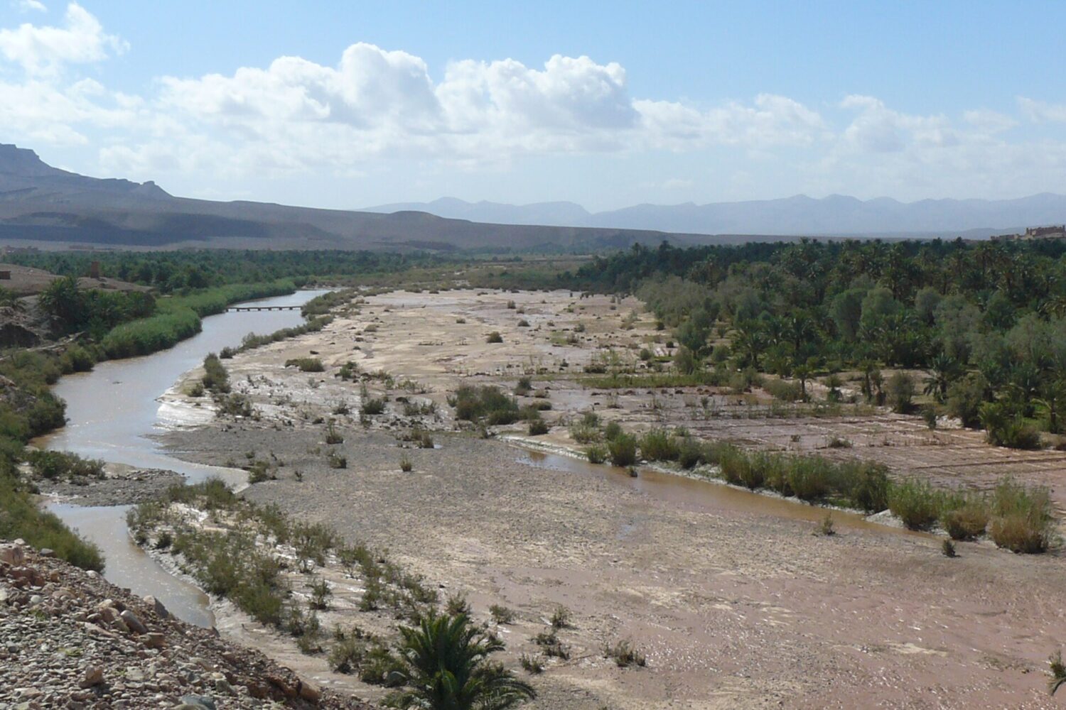 Oued Drâa et sa palmeraie
