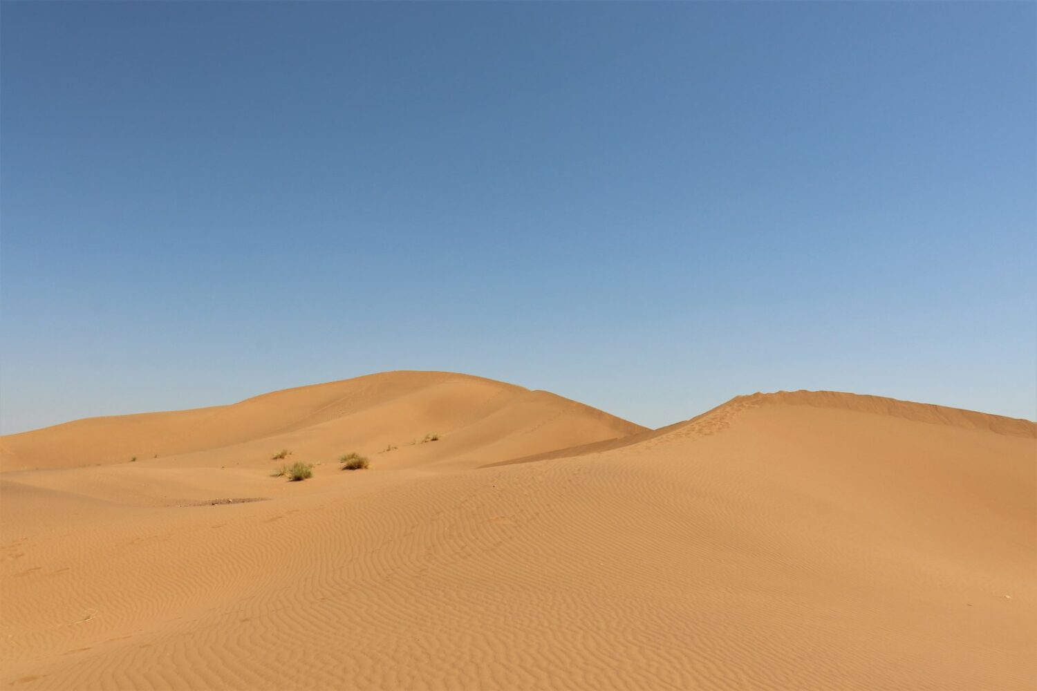 Dunes de sable du sud marocain Dunes de sable du sud marocain