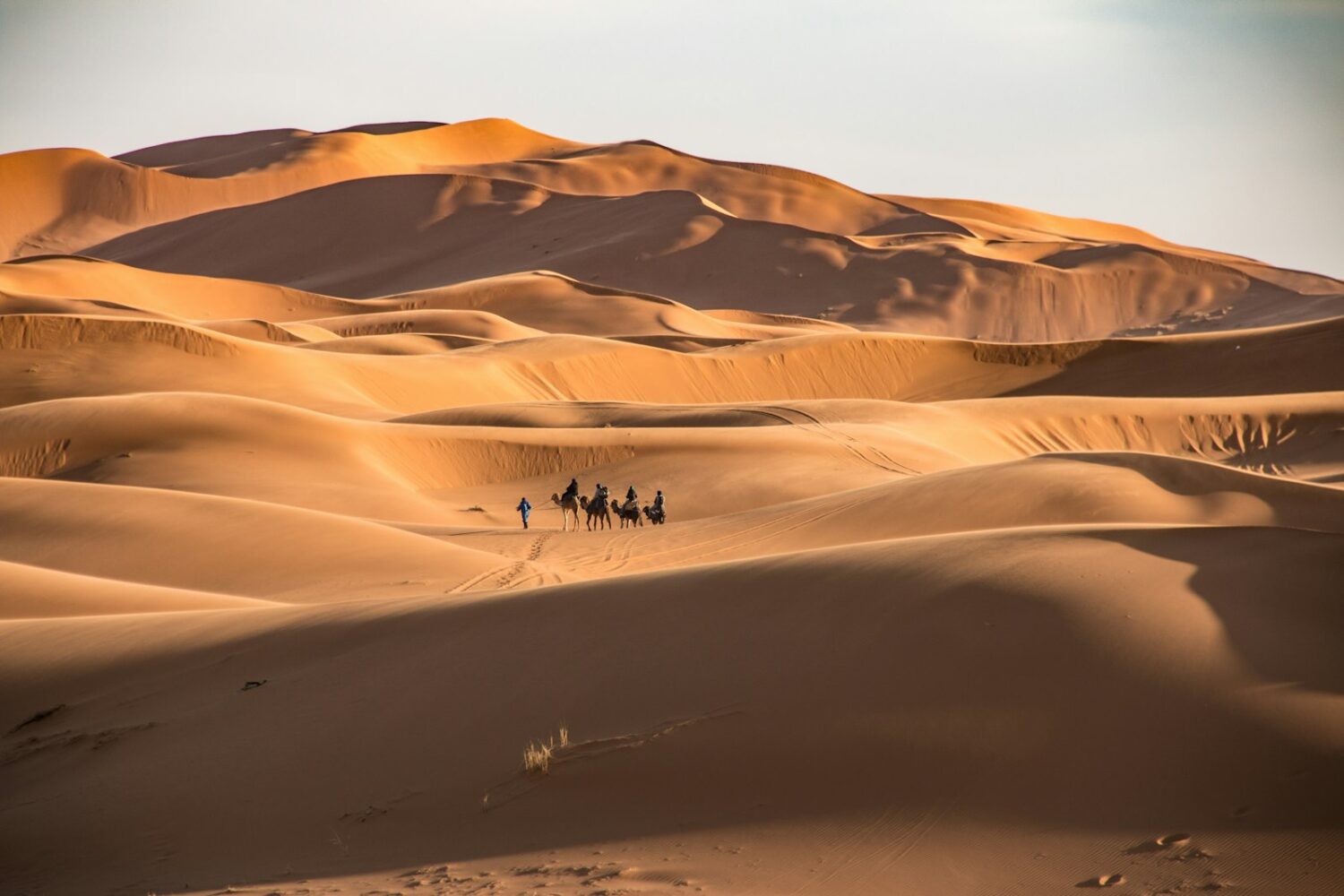 Dunes de Tinfou près de Zagora Dunes de Tinfou près de Zagora