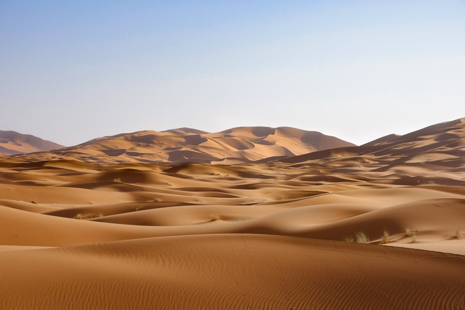 Dunes de sable du Sahara marocain