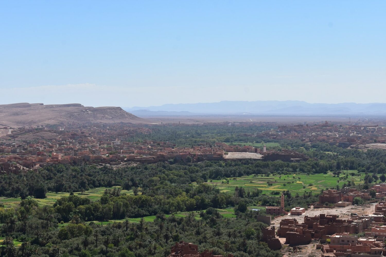 Vallée verdoyante et oasis du sud marocain