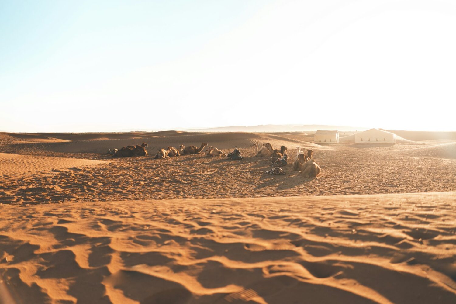 Dunes près de Zagora