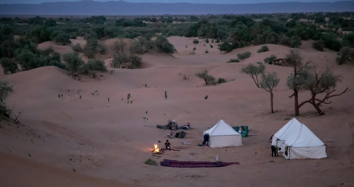 Campement dans le désert