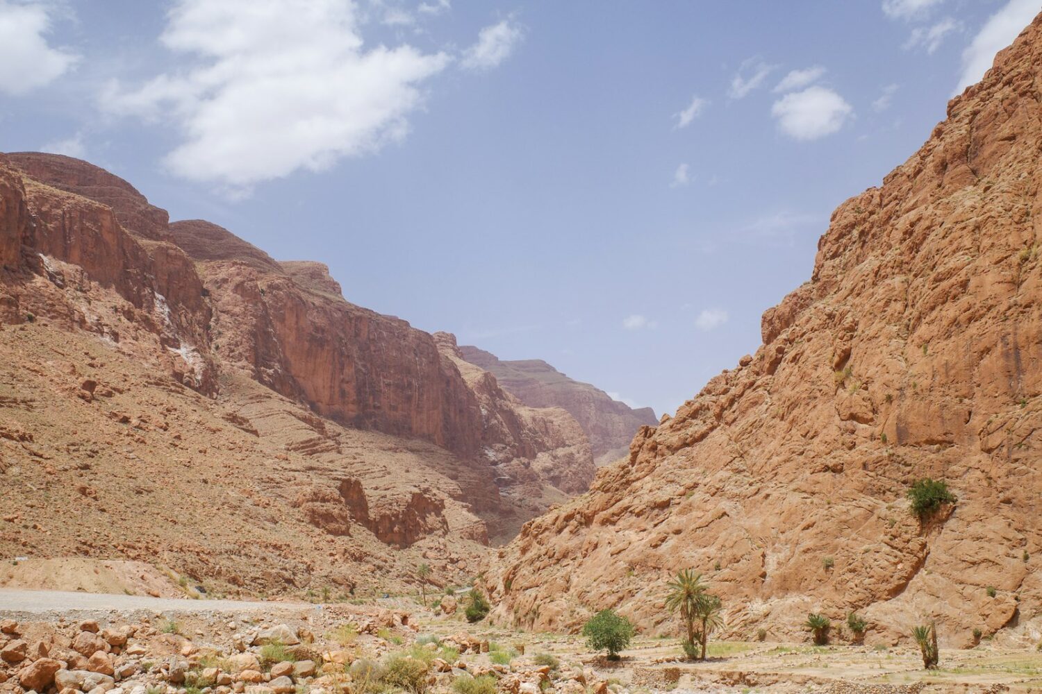Canyon des gorges du Todgha