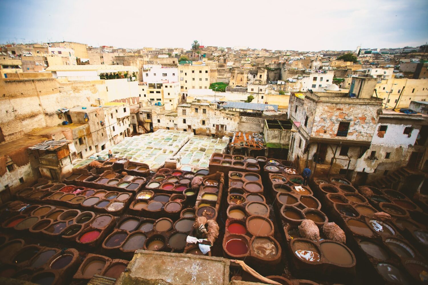 Tanneries de la médina de Fès