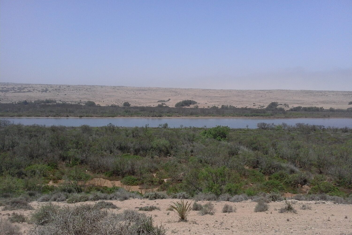 Embouchure de l’oued Massa, parc national Souss-Massa Embouchure de l'oued Massa, parc national Souss-Massa