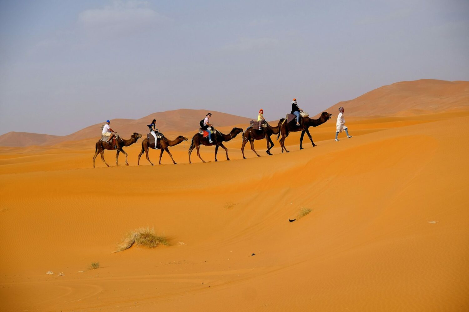 Caravane de dromadaires dans les dunes