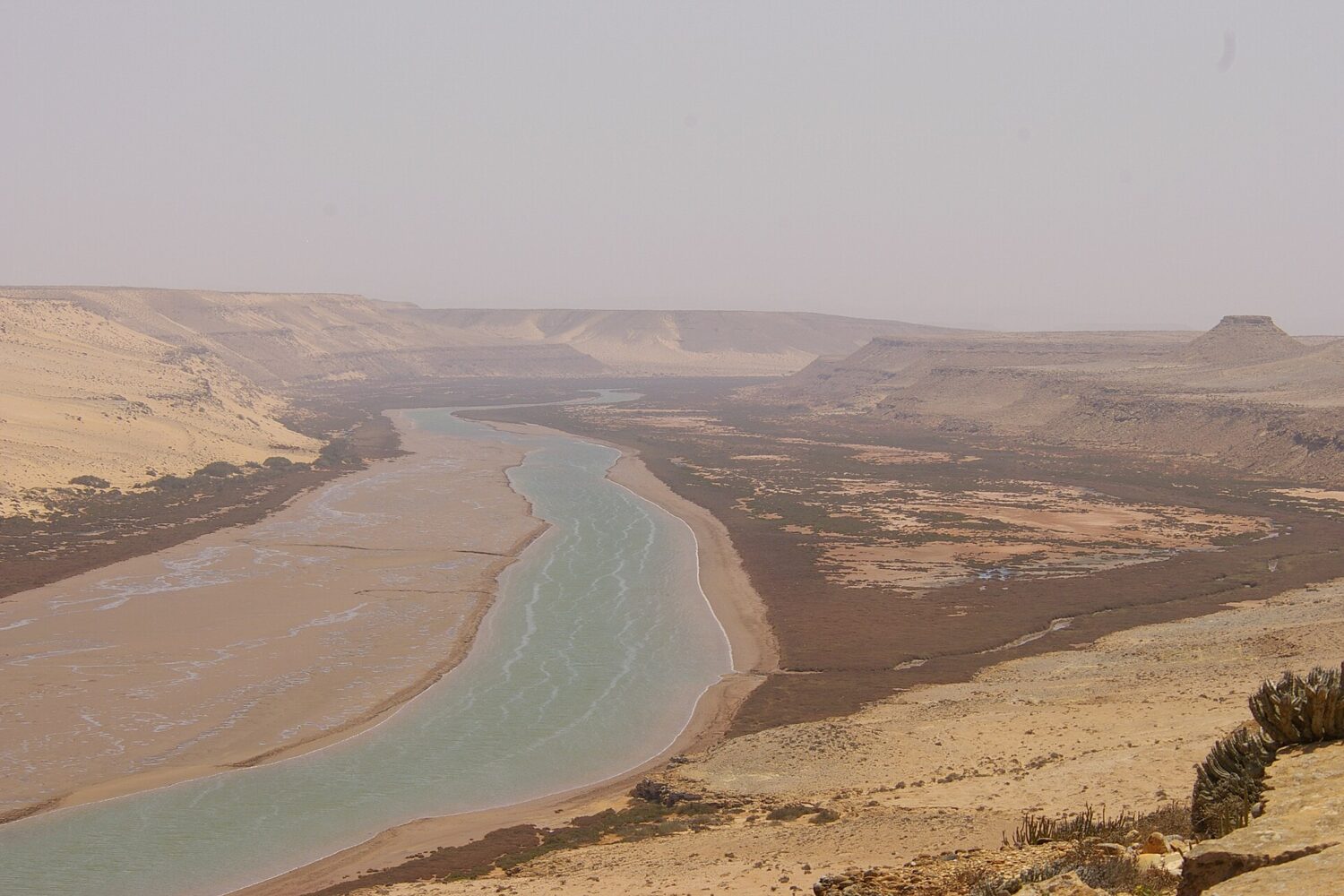 Vallée du Drâa